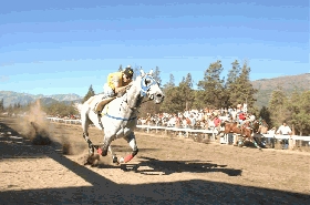 Diecisiete carreras en el Festival de Carreras de la Fiesta Nacional del L&uacute;pulo