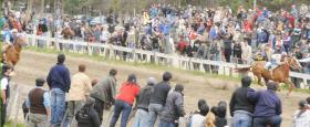 M&aacute;s de mil quinientas personas concurrieron a un nuevo Festival de Carreras en el Club H&iacute;pico El Bols&oacute;n