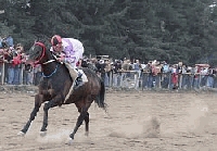 El Pibe se qued&oacute; con el cl&aacute;sico aniversario del Jockey Club Bariloche