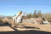 Festival de carreras bien regional