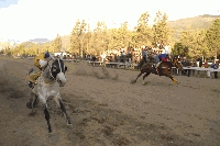 El H&iacute;pico El Bols&oacute;n, una fiesta