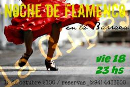 Noche de flamenco