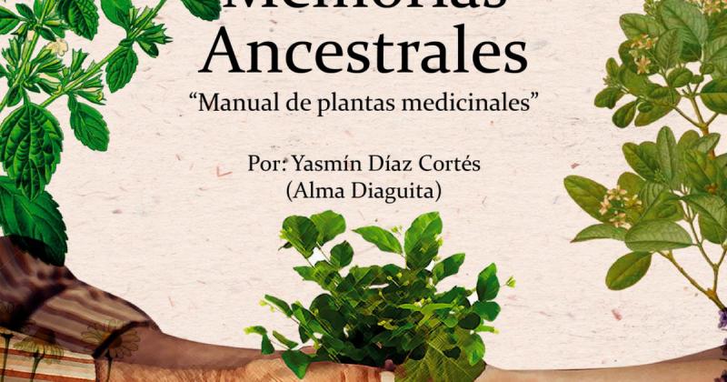Manual diaguita de plantas medicinales v3.pdf