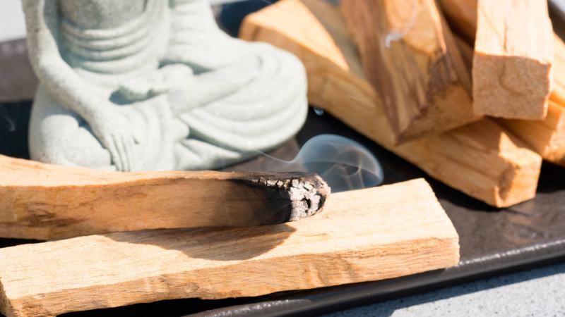 Palo santo: para qu&eacute; sirve y c&oacute;mo usar su incienso y aceite esencial