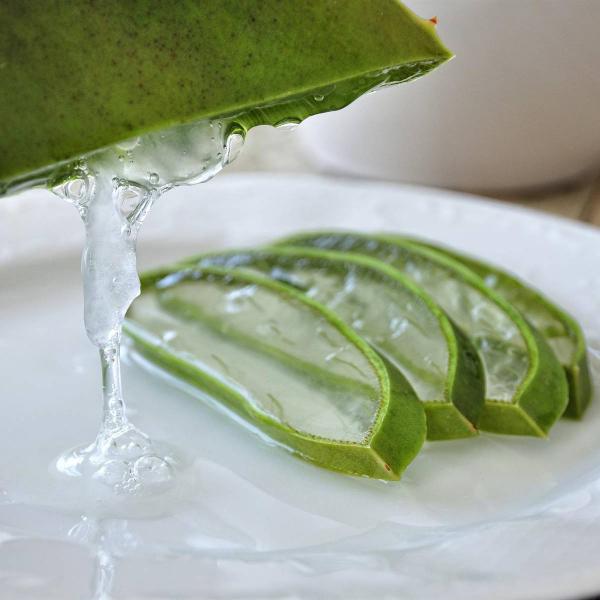 3 razones por las que el zumo de aloe vera es muy saludable