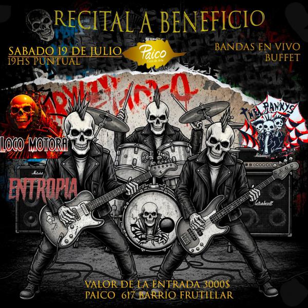 RECITAL SOLIDARIO- ROCK PUNK