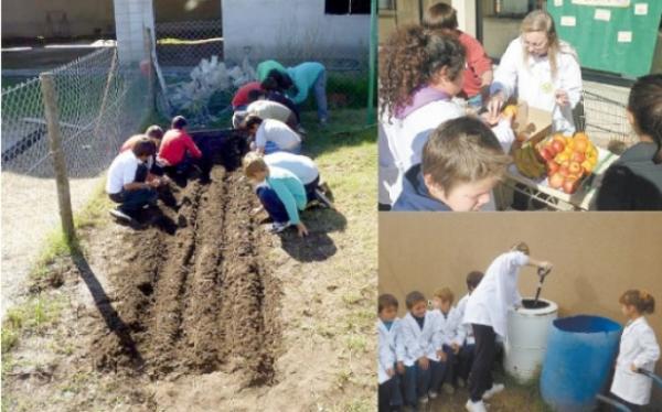 "Los guardianes del planeta" no tienen mas de 12 a&ntilde;os