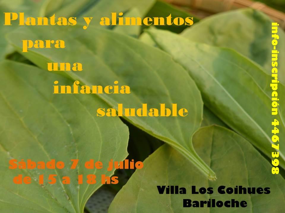 Taller "Plantas y alimentos para una infancia saludable"