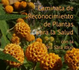 S&aacute;bado 14  Caminata de reconocimiento de Plantas para la Salud