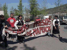 Mapuche se movilizaron a la sede de la ONU