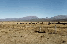 Asedios de INDIMET s.r.l., a la comunidad MapuChe Felip&iacute;n