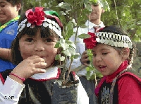 Querella contra carabineros por interrogatorio a ni&ntilde;os Mapuche