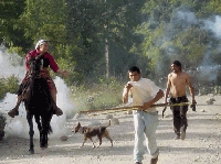 Carta de una joven Mapuche: Carcel es lo que hoy nos ofrece el gobierno