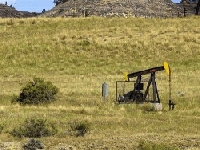 Mapuche cortan acceso a una petrolera en Pic&uacute;n Leuf&uacute;