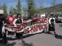 Mapuche se movilizaron a la sede de la ONU