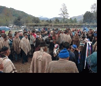 Categ&oacute;rico Rechazo Mapuche a Hidroel&eacute;ctricas en Regi&oacute;n de Los R&iacute;os