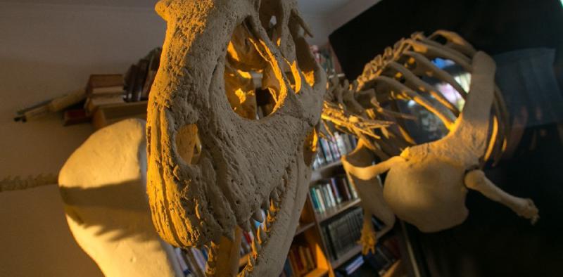 Catriel: llega la muestra Dinosaurios y otras bestias prehist&oacute;ricas