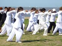 Encuentro de QIGONG y TAIJIQUAN 