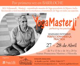 SEMINARIO  INTENSIVO DE M.S. VISHWANATH