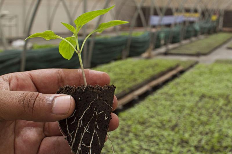 La UNRN particip&oacute; del Congreso Argentino de Agroecolog&iacute;a