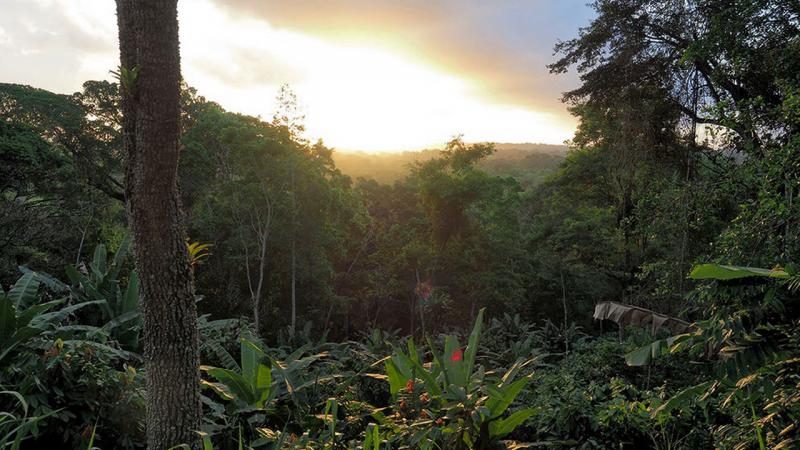 Agroecolog&iacute;&shy;a para salvar el mundo