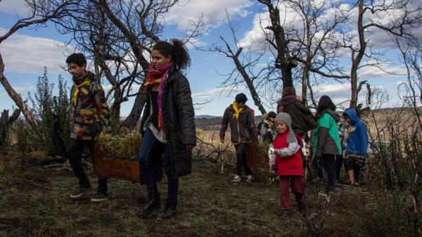 Ni&ntilde;os y j&oacute;venes plantaron cipreses en los bosques quemados de Cholila | INCENDIOS FORESTALES