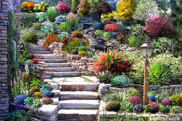 Un jardín con piedras acerca la naturaleza más distante 