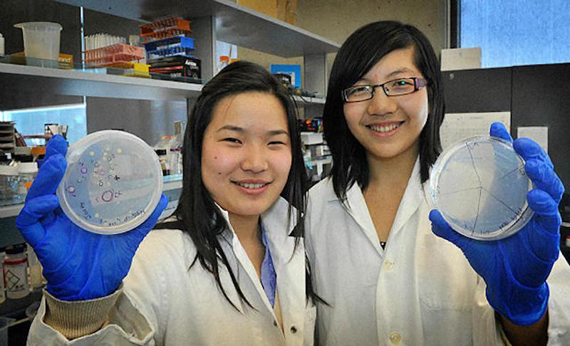 Estudiantes inventan bacteria que come pl&aacute;stico de los oc&eacute;anos y lo convierte en agua