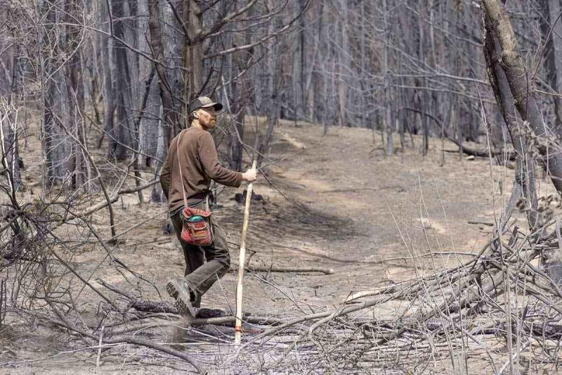 Reconstruir la cultura del bosque andino-patagónico para frenar los incendios