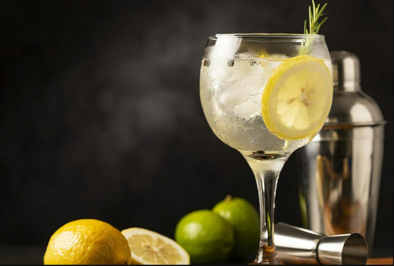 Descubr&iacute; el fascinante mundo del Gin