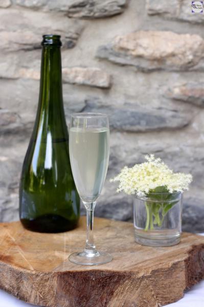 El champagne de sauco de Sara Itkin, la médica yuyera de Bariloche: una receta natural con flores patagónicas